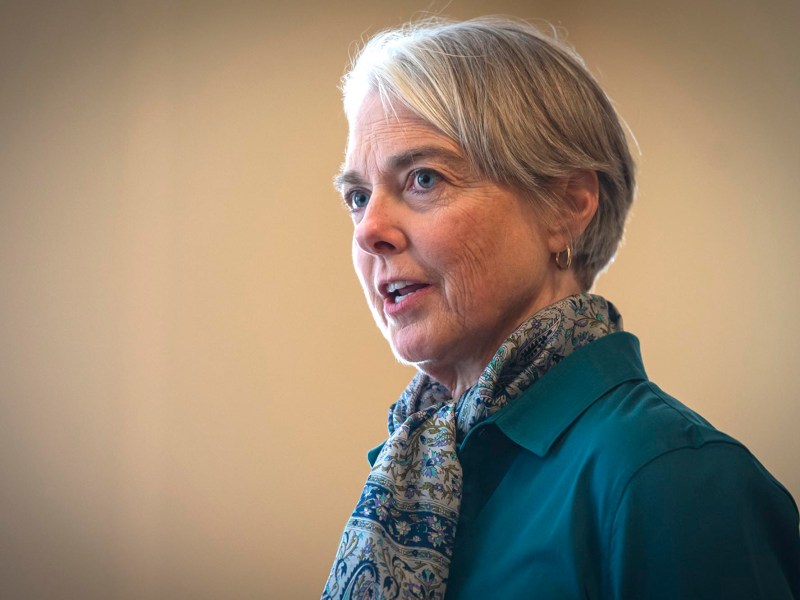 A woman wearing a blue shirt and scarf.
