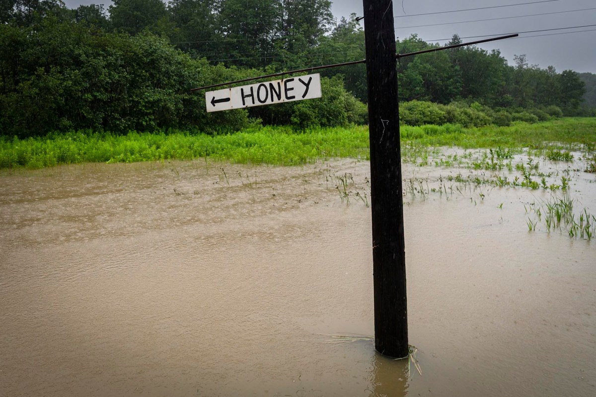 a pole with a sign in the middle of a flooded field.