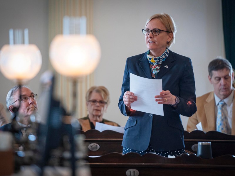 Woman delivering a speech at a formal meeting with attendees listening in the background.