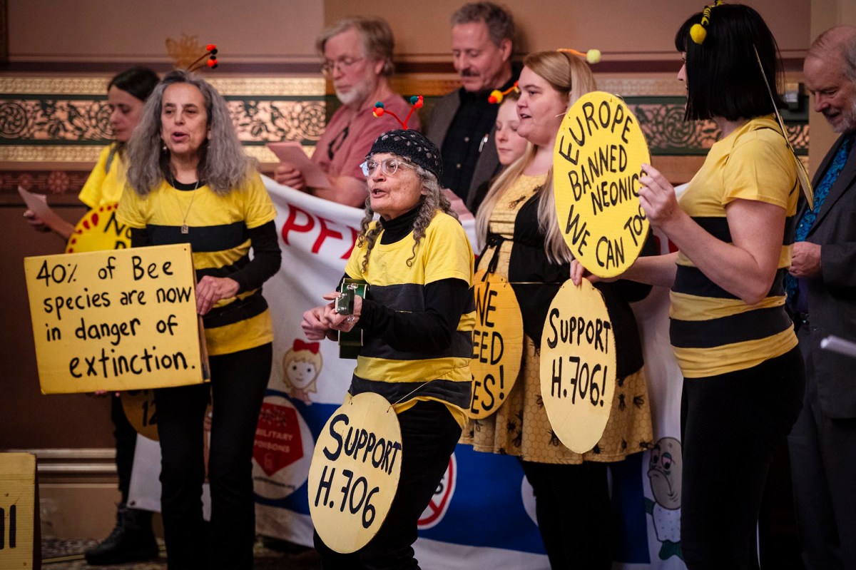 A group of people holding signs with bees on them.