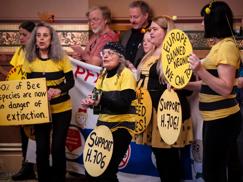 A group of people holding signs with bees on them.