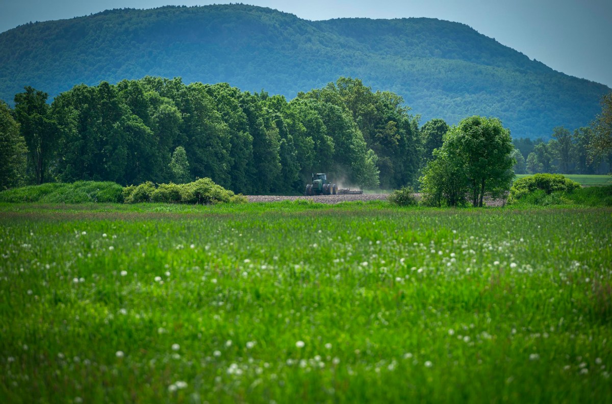 A tractor plowing a field with green grass and trees in the foreground and a forested mountain in the background.