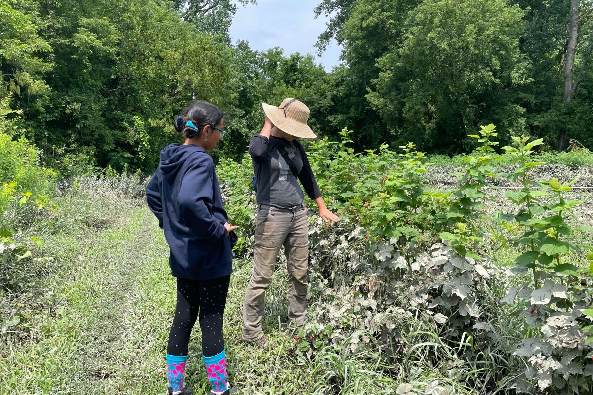 a woman and a girl standing in a field of plants.