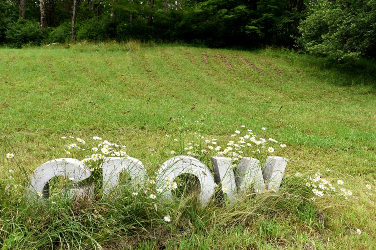 a wooden sign with the word grow in the middle of a grassy field.