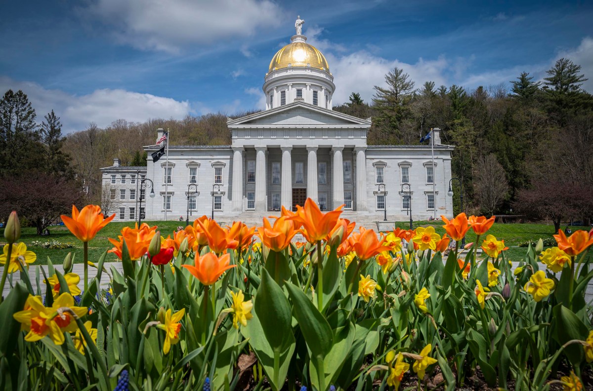 Vermont state house with a golden dome, framed by colorful tulips in the foreground and trees under a blue sky.