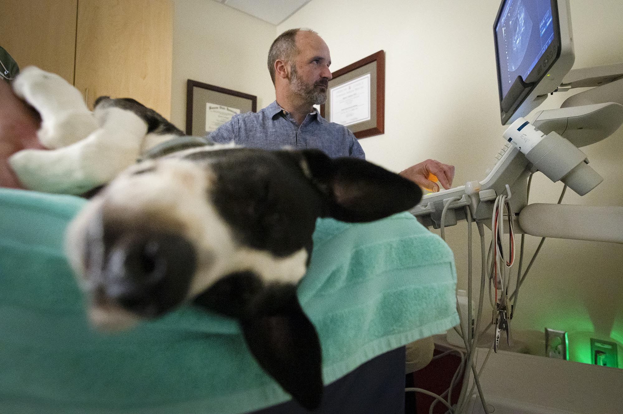 Vermont's veterinary care system struggles to staff its hospitals and ...