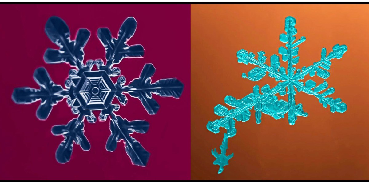 Two pictures of snowflakes on a red and blue background.