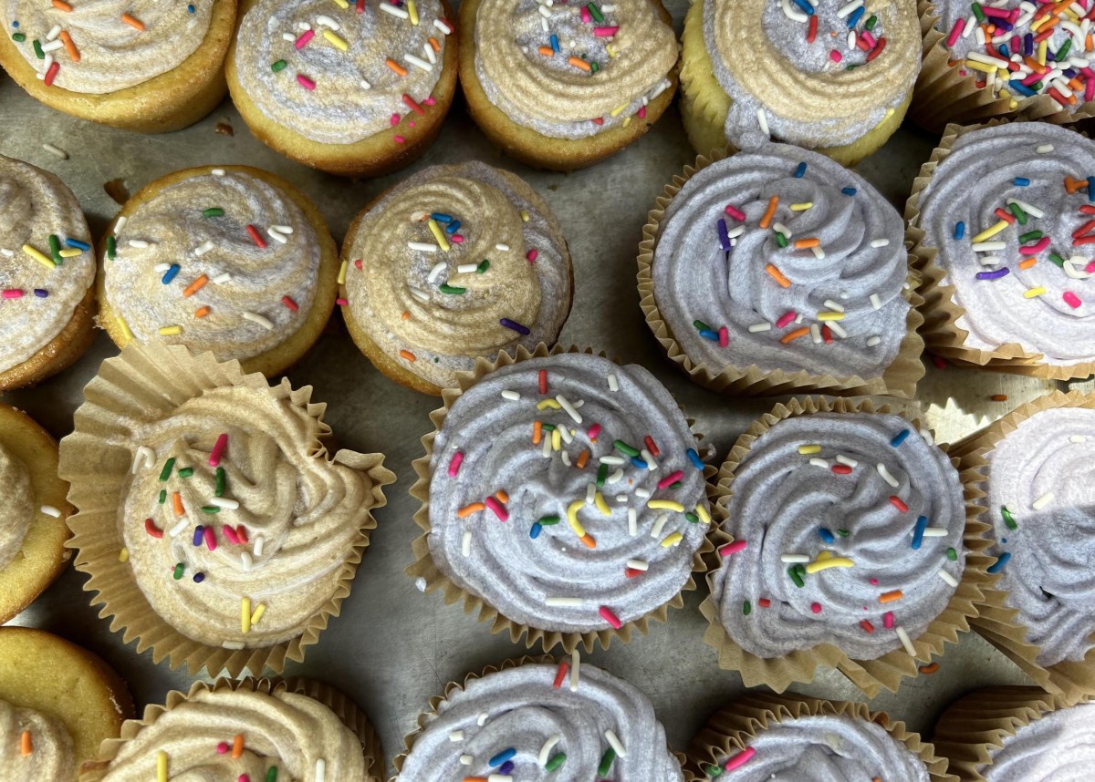 A close-up view of several frosted cupcakes topped with colorful sprinkles, arranged in rows.