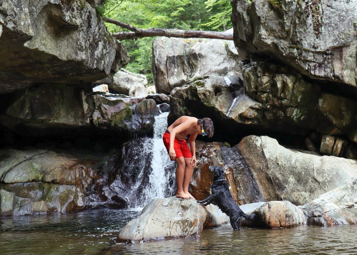 a person standing on a rock next to a waterfall looking down at a dog