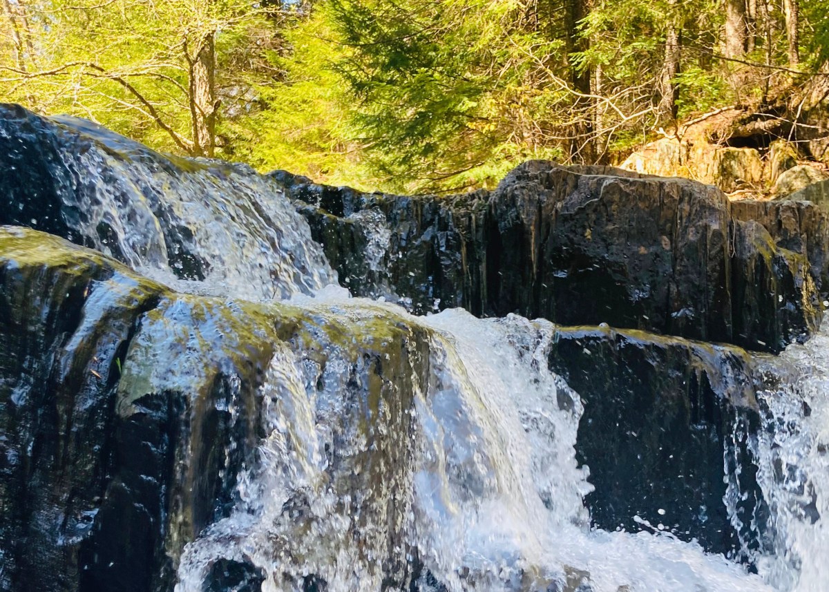 A waterfall in a wooded area with rocks and trees.