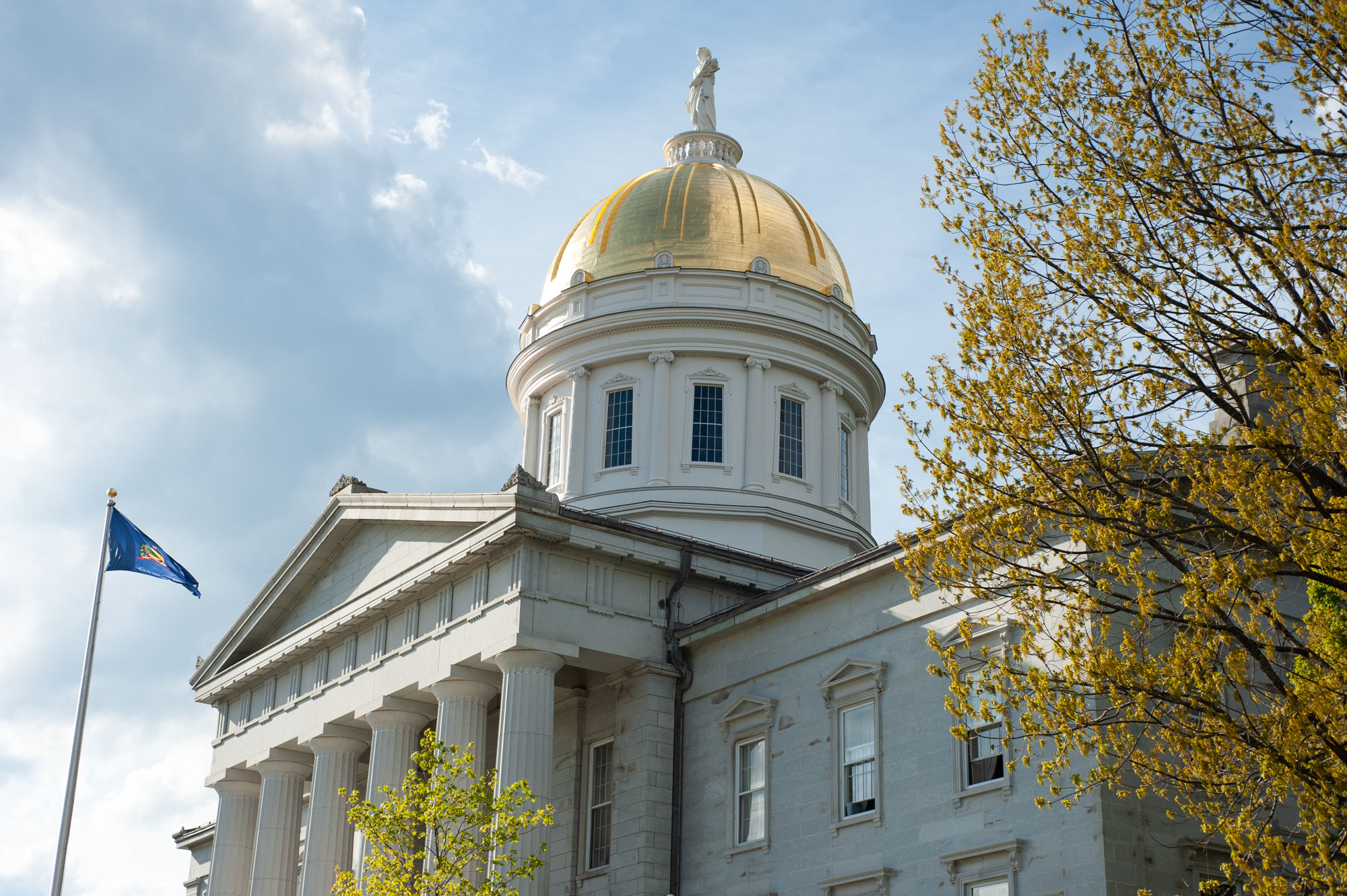 Vermont state capitol building with a gold dome and a statue on top, partially obscured by a blooming tree, under a blue sky with clouds.