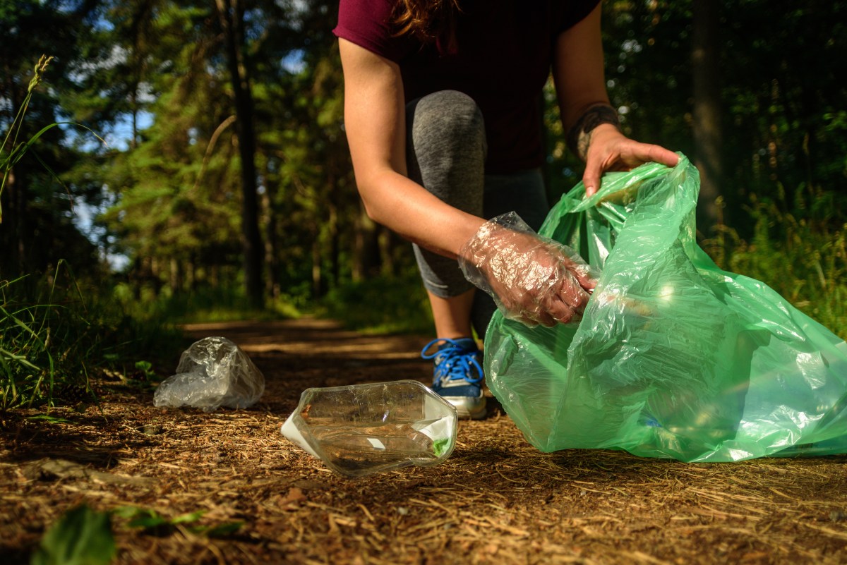 A woman picks up trash in a forest and places it into a green trash bag.