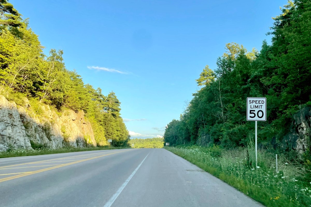 A road surrounded by trees and a 50 mph sign.