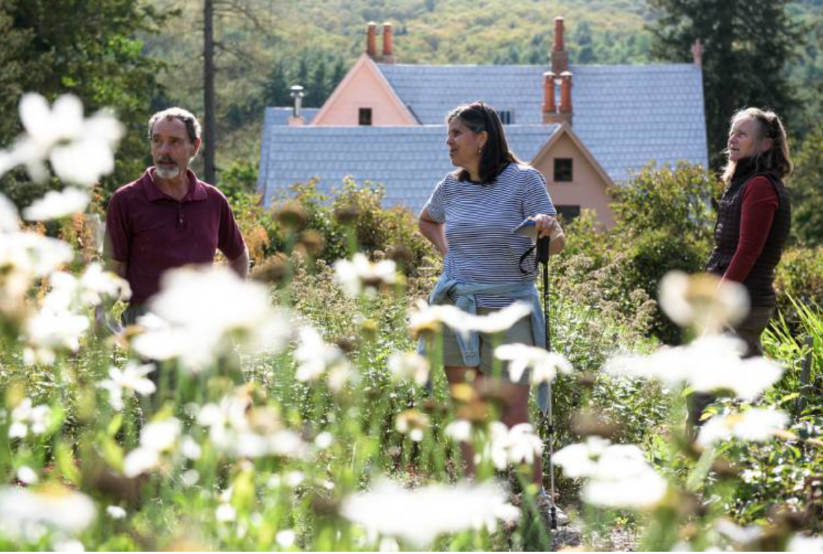 Three people in a garden with white flowers in the foreground and a house in the back.