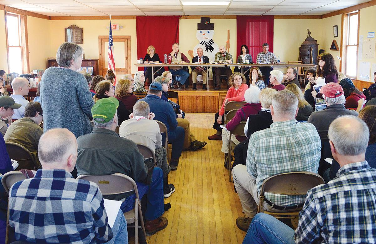 a group of people attending a town meeting