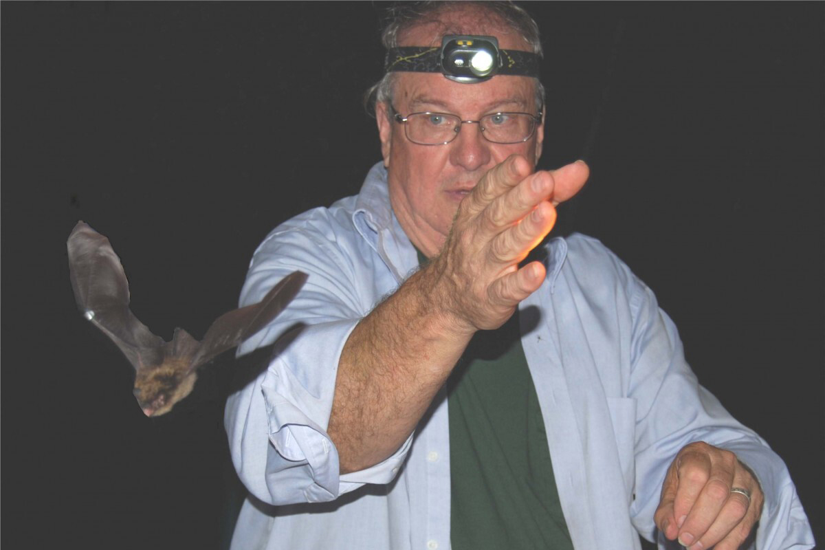A man releases a bat in the dark