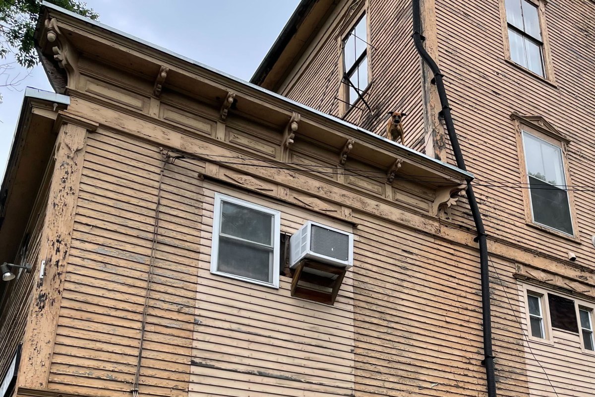 A multistory beige wooden building with an air conditioning unit sticking out of a window. A dog is visible at the edge of the roof.