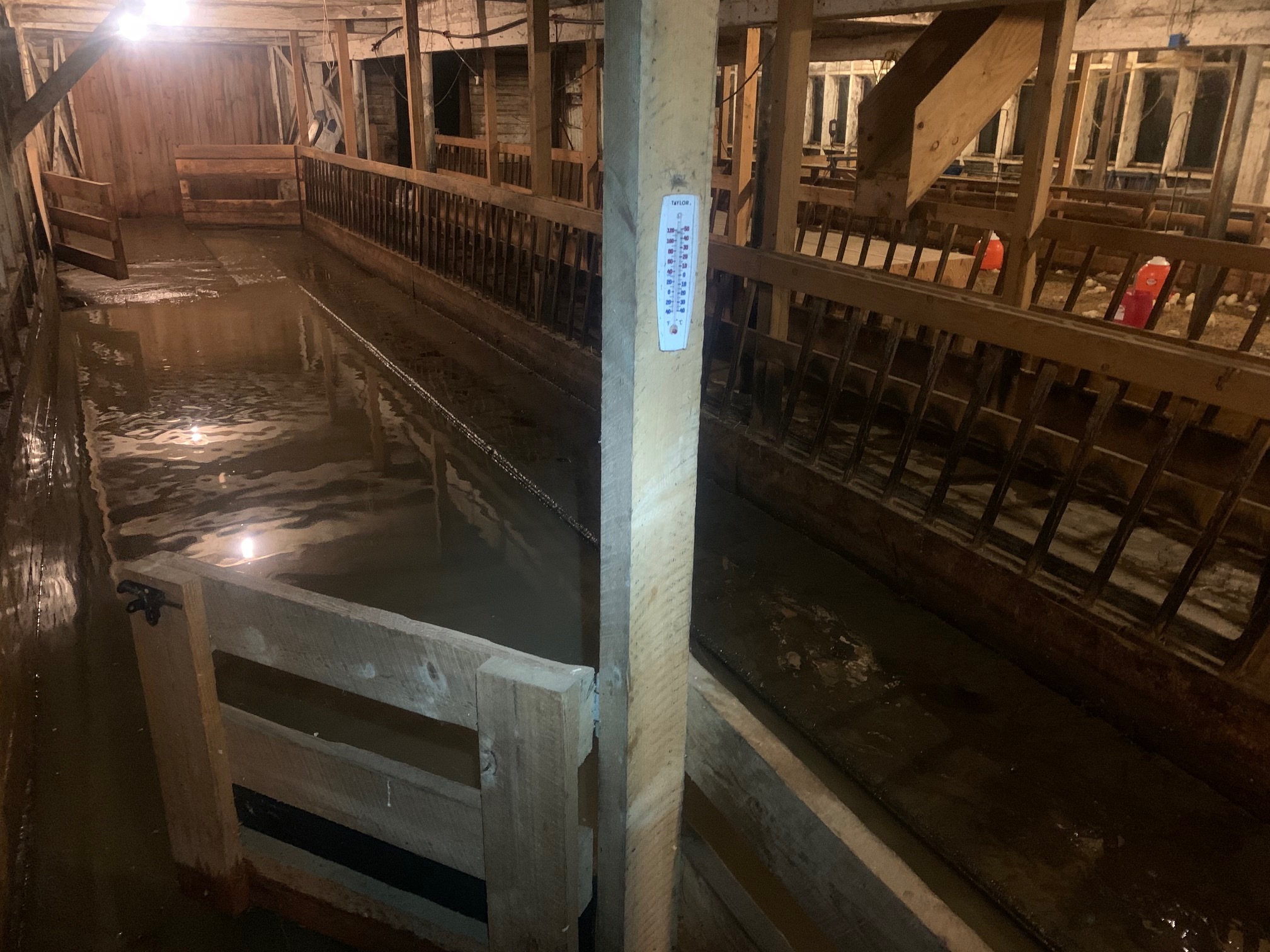 A dark, muddy barn interior with standing water on the floor, feeding troughs along the sides, and a thermometer attached to a wooden post in the center.