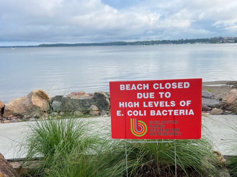 Sign reading "Beach Closed Due to High Levels of E. Coli Bacteria" in front of a waterfront. Rocky shoreline and distant horizon visible under a cloudy sky.