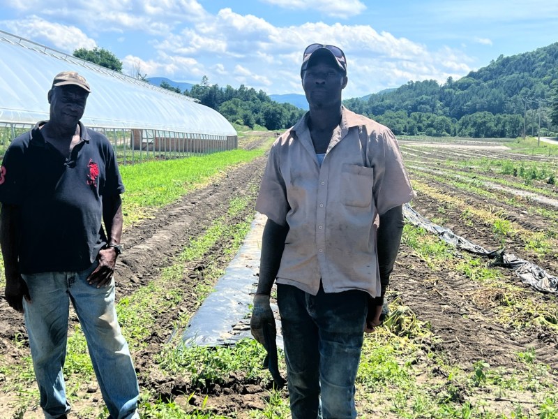 Two men stand in a vegetable field next to a greenhouse, with mountains and a partly cloudy sky in the background.