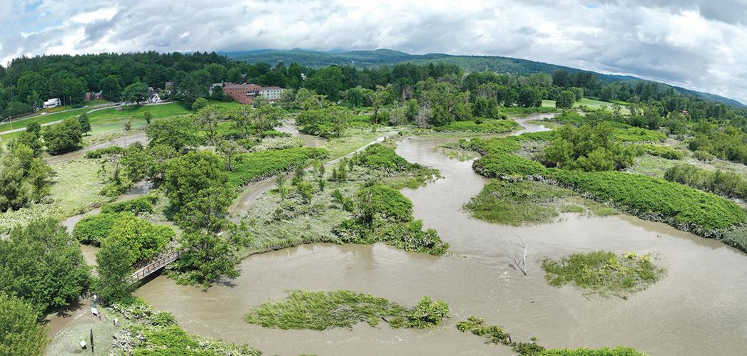 Aerial view of a flooded landscape with overflowing rivers surrounded by green foliage and a cloudy sky.