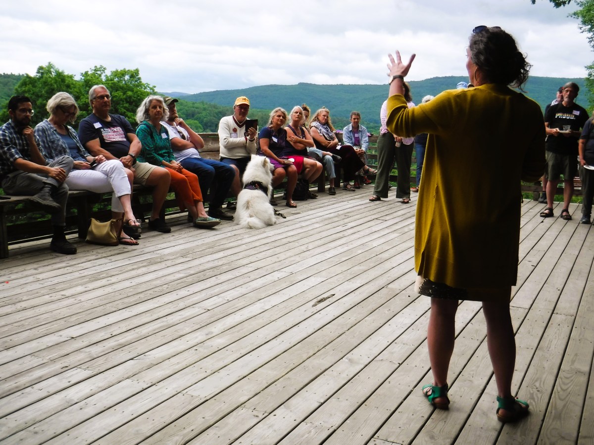 A speaker addresses a group of people seated on a wooden deck outdoors. A large white dog sits among the audience. Trees and hills are visible in the background under a cloudy sky.