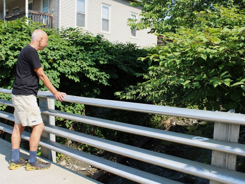 A man in a black shirt and tan shorts stands on a bridge, looking over a metal railing towards dense green foliage and a stream below. A white house is visible in the background.