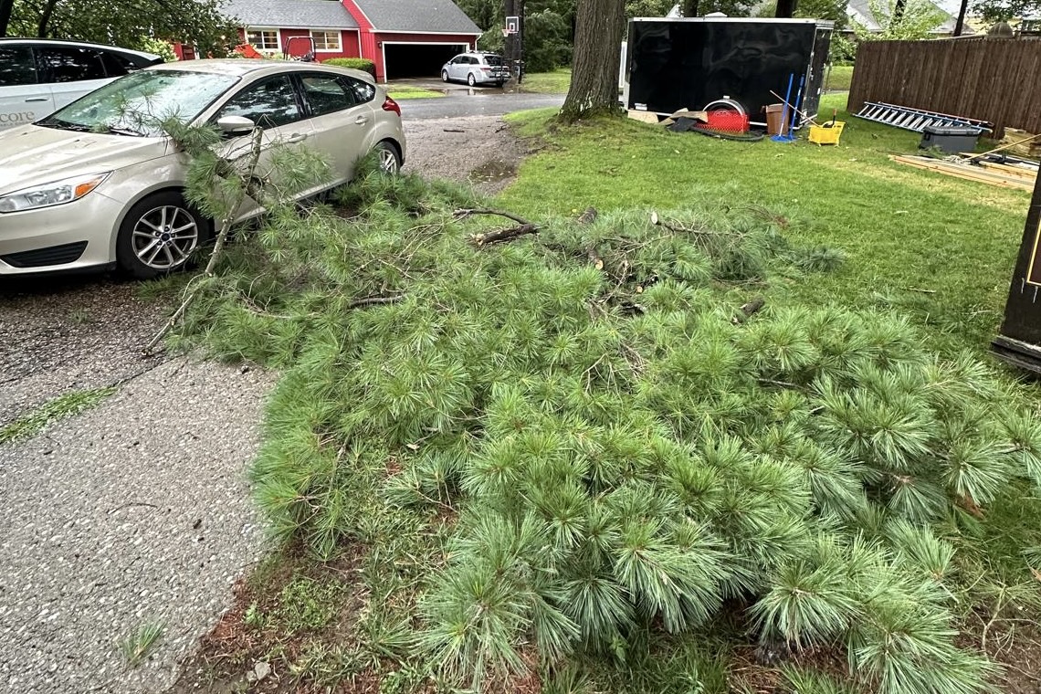 A large tree branch has fallen on the front hood of a parked car in a driveway, next to a grassy lawn and construction equipment.