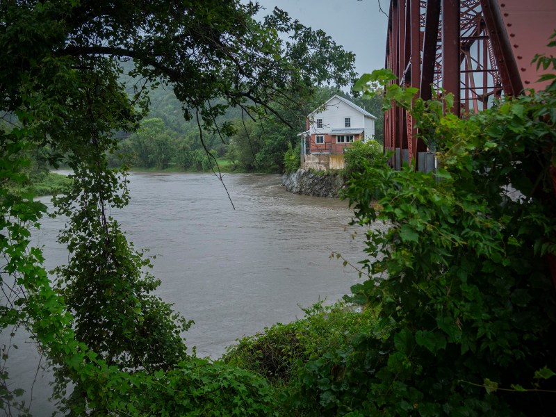 A house stands beyond a river with high water levels, visible from behind thick green foliage and a red bridge on the right side of the image.