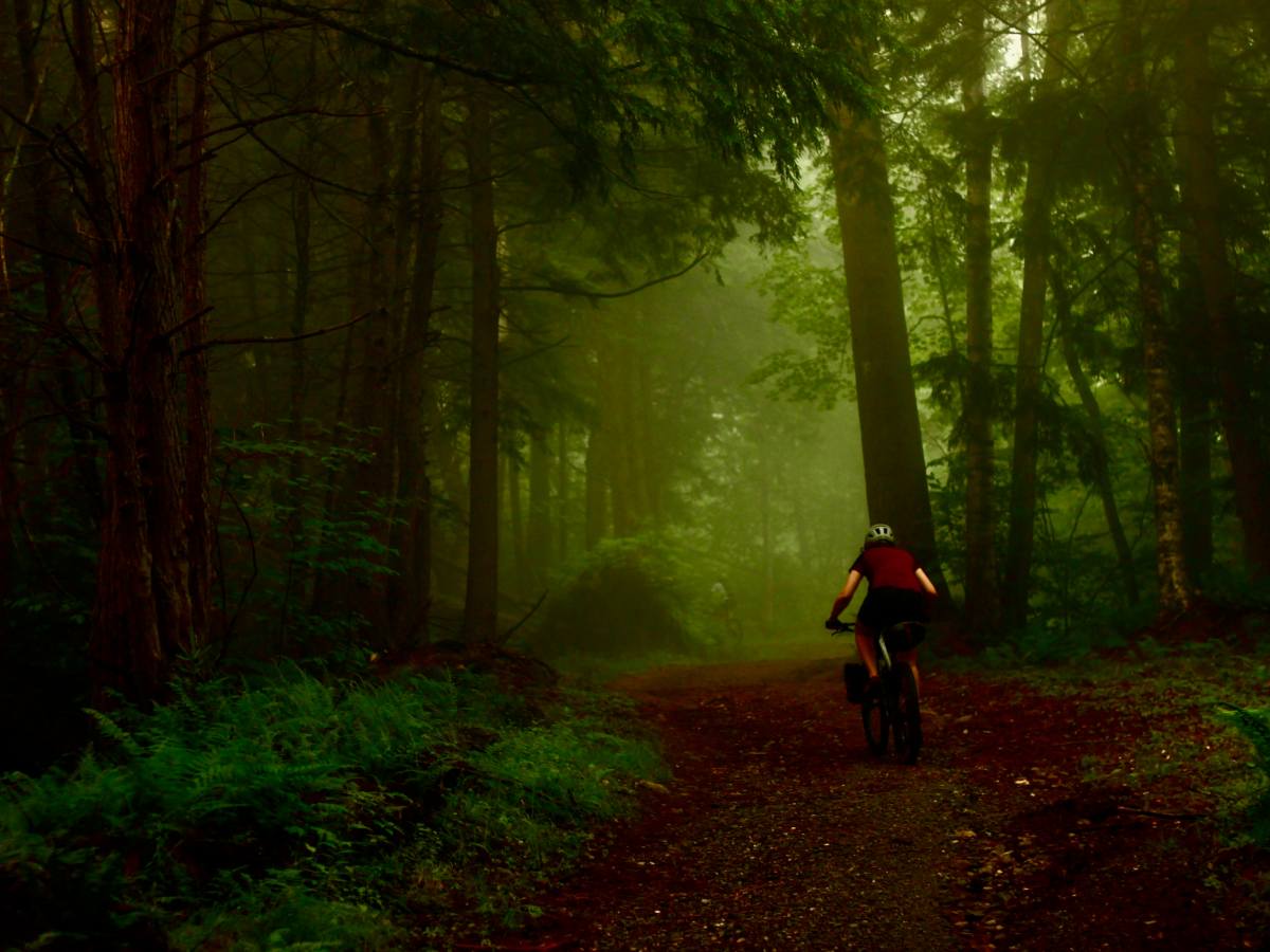 Plans for long-distance mountain bike route in Vermont take step forward with 1st piece of ‘Velomont’ trail