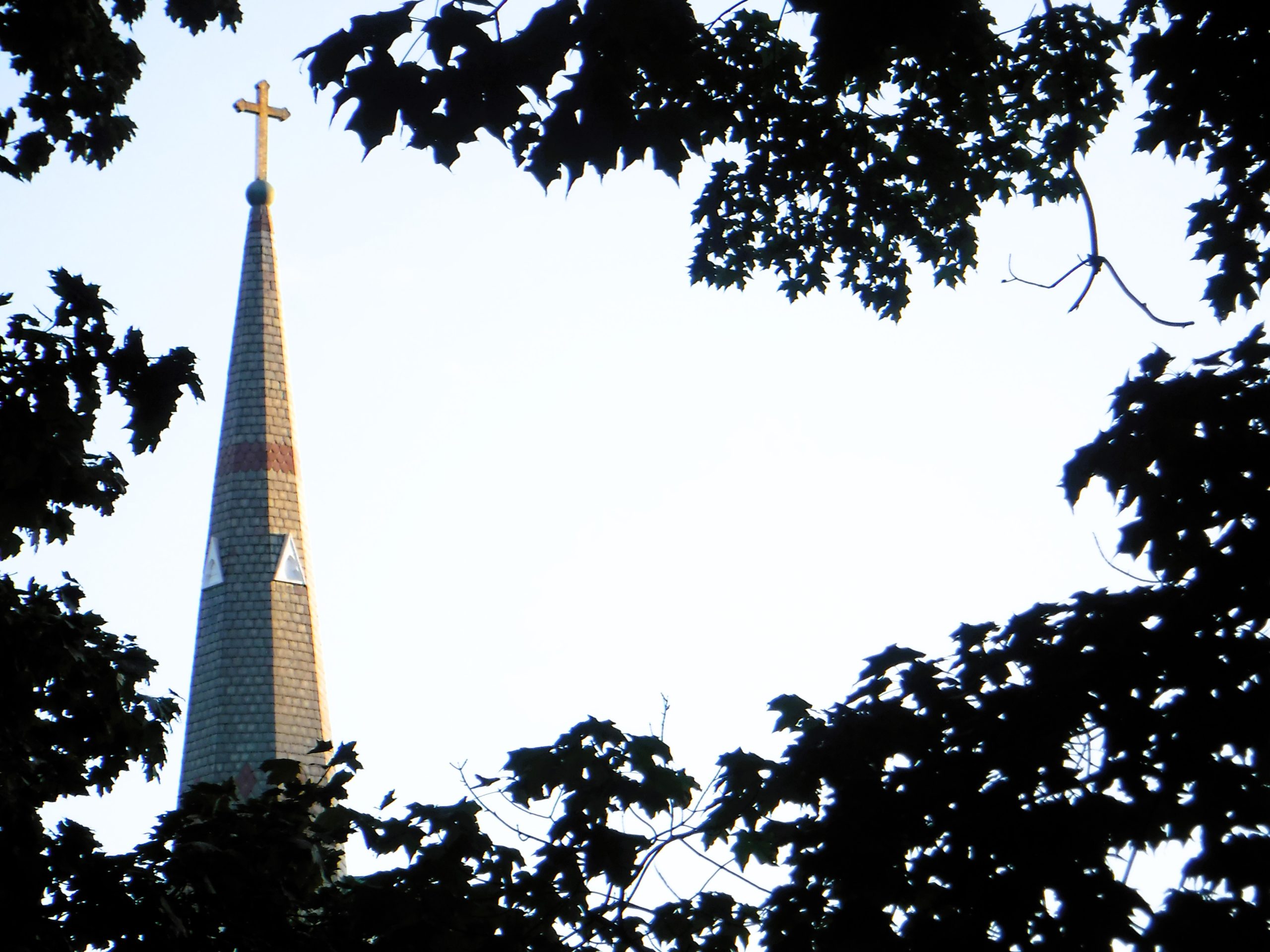 A church steeple topped with a cross is framed by silhouettes of leafy tree branches under a clear sky.