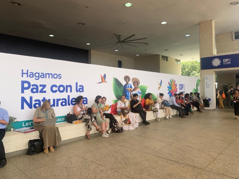 People seated beneath a banner reading "Hagamos Paz con la Naturaleza" at a COP event venue.