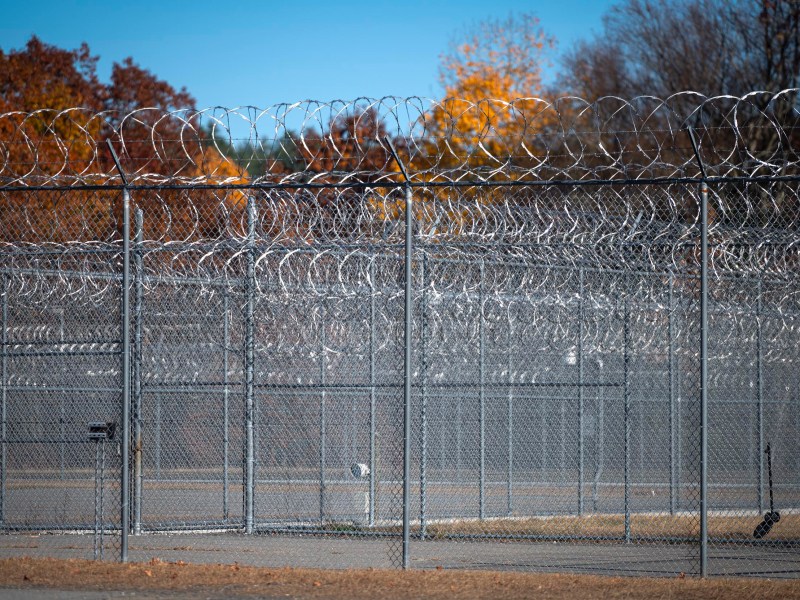 A fenced area with barbed wire and chain-link fencing under a clear blue sky. Trees with autumn leaves are visible in the background.