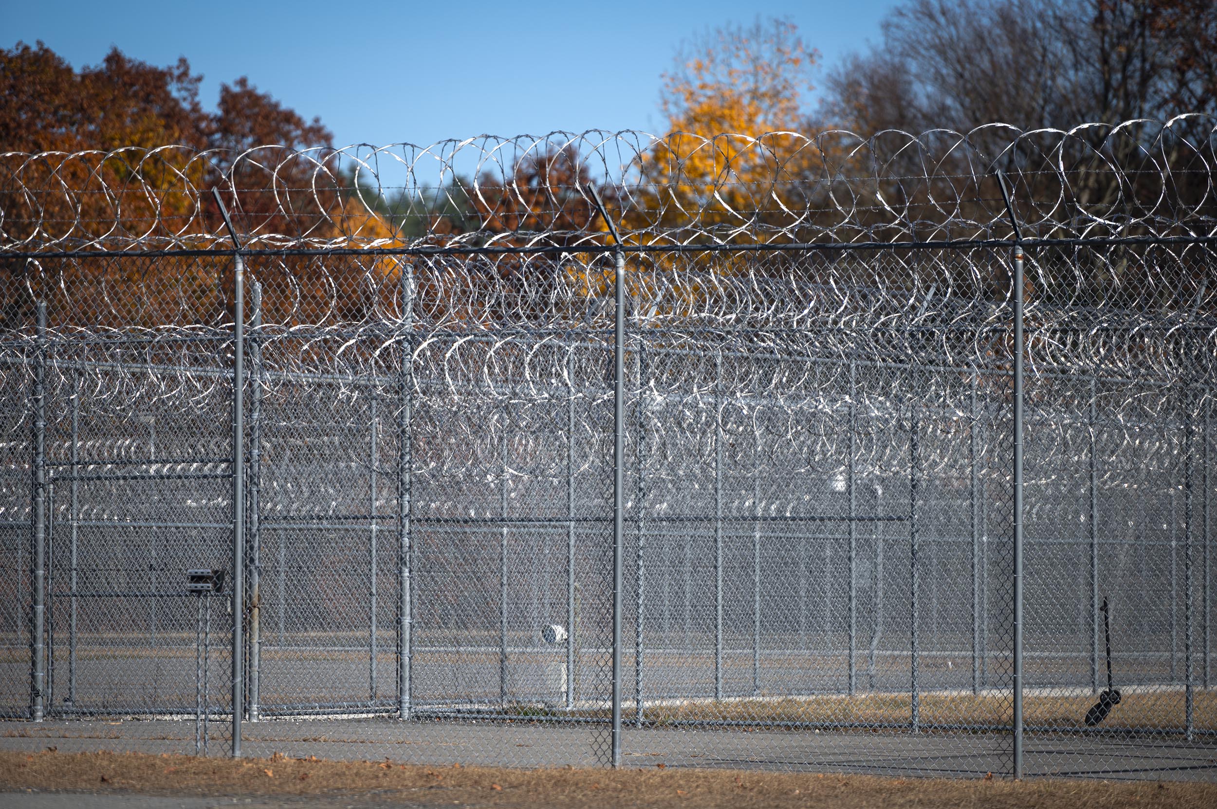 A fenced area with barbed wire and chain-link fencing under a clear blue sky. Trees with autumn leaves are visible in the background.