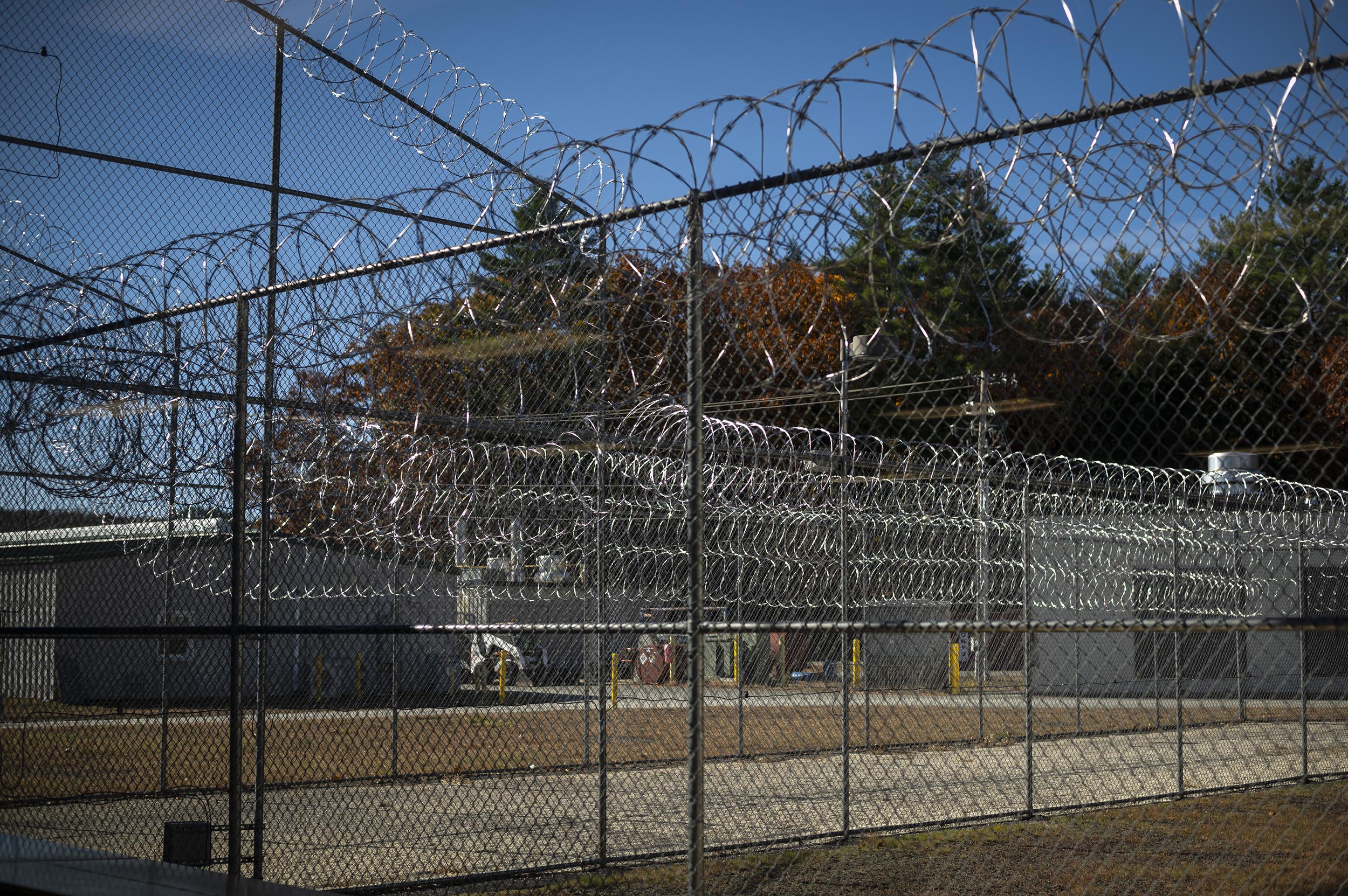 Barbed-wire fences enclose an outdoor area with buildings and trees visible in the background.