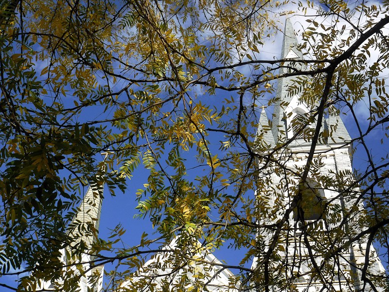 Church steeple viewed through branches with yellow leaves against a blue sky.