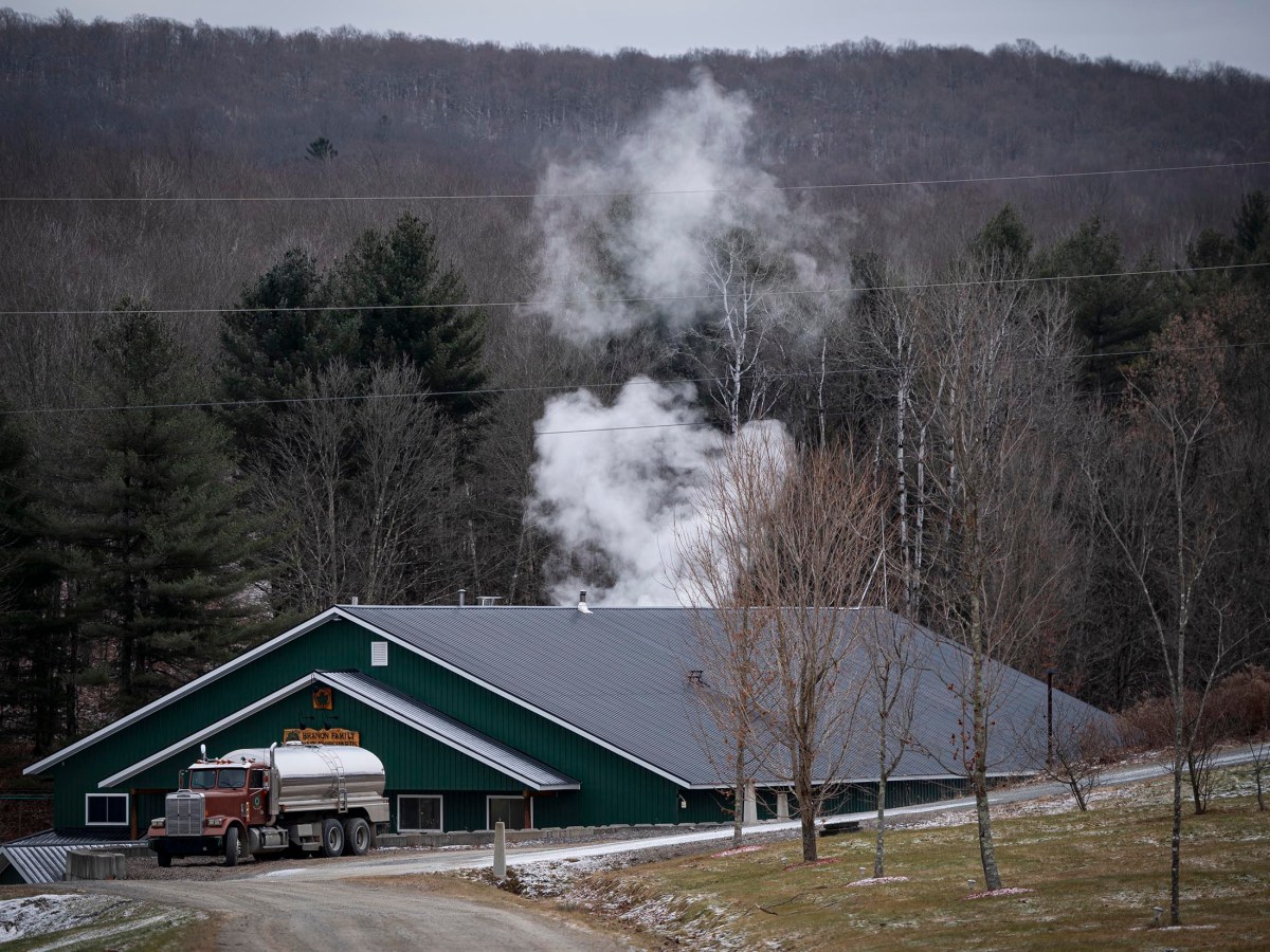 How’s the maple season? Ask when it’s over.