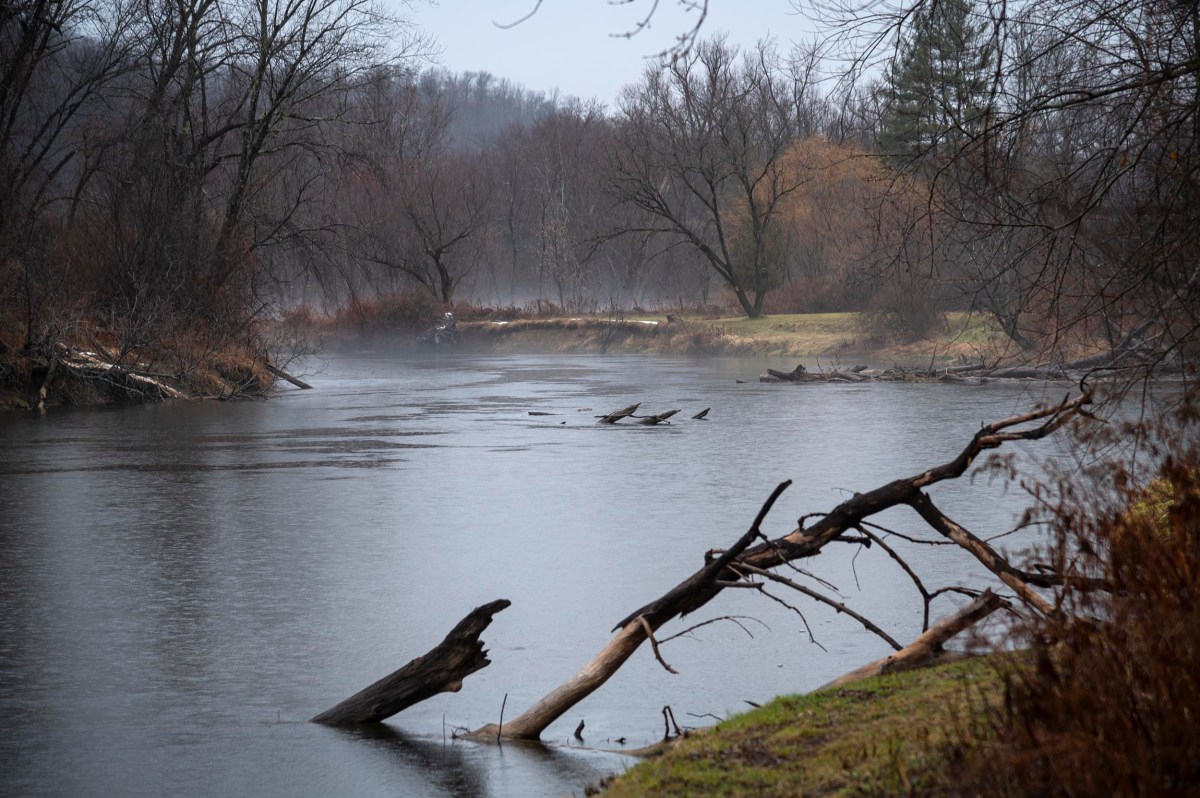 A calm river scene with fallen trees on the water, surrounded by bare trees and faint mist in the background.