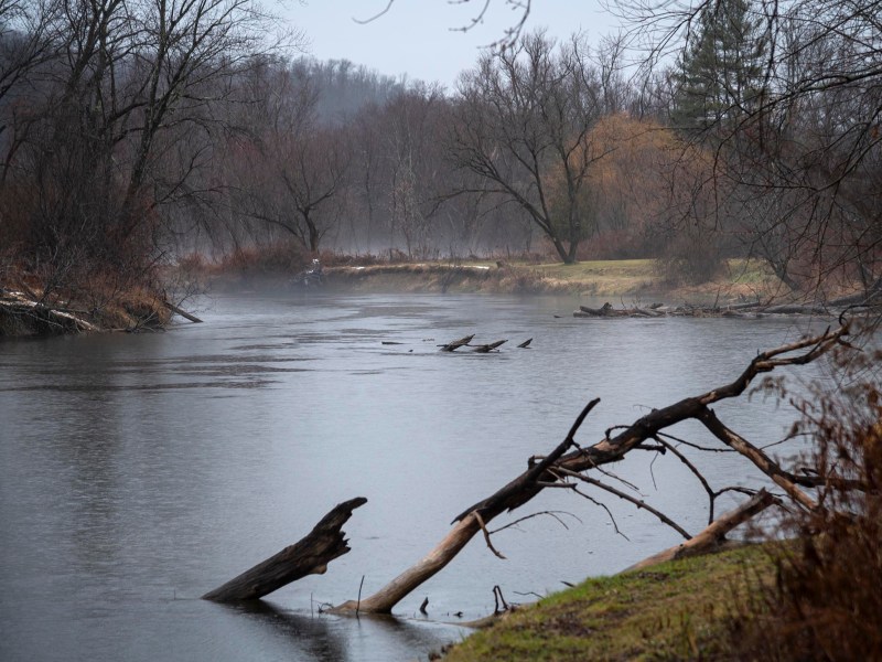 A calm river scene with fallen trees on the water, surrounded by bare trees and faint mist in the background.