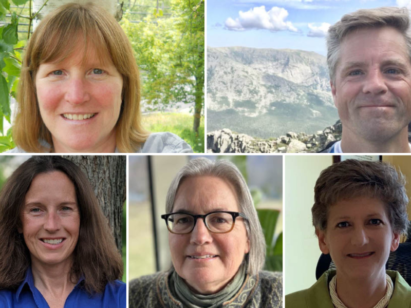A collage of five individuals, each posing outdoors or indoors, with natural or office-style backgrounds.