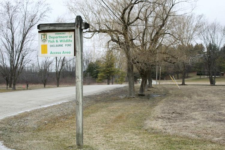Sign for Vermont Department of Fish & Wildlife, Shelburne Pond Access Area, next to a quiet rural road with bare trees in the background.