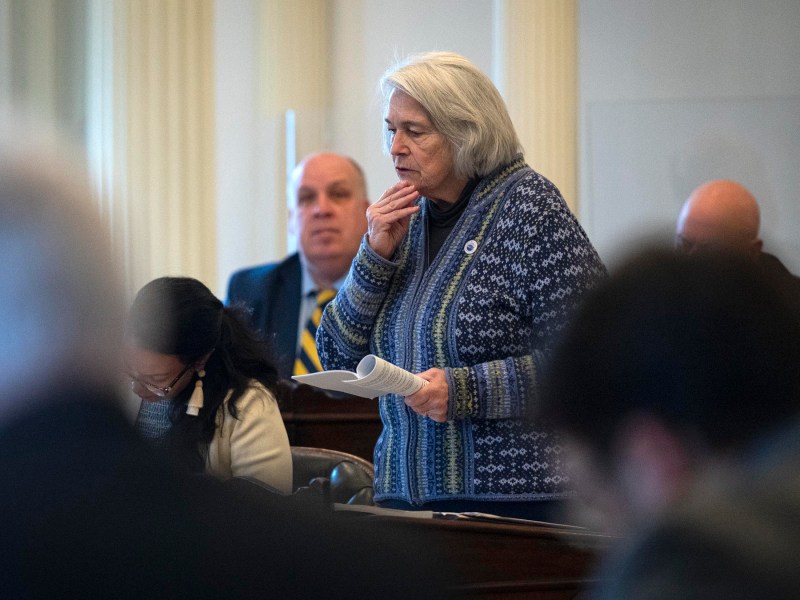An elderly woman in a blue sweater speaks while standing in a seated gathering, holding papers. Other attendees are seated and listening.