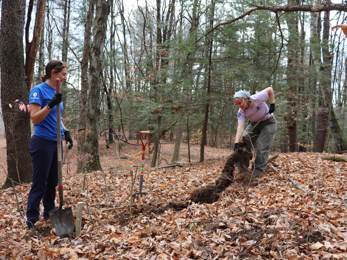 Feds cut more AmeriCorps programs, jeopardizing 200 positions in Vermont