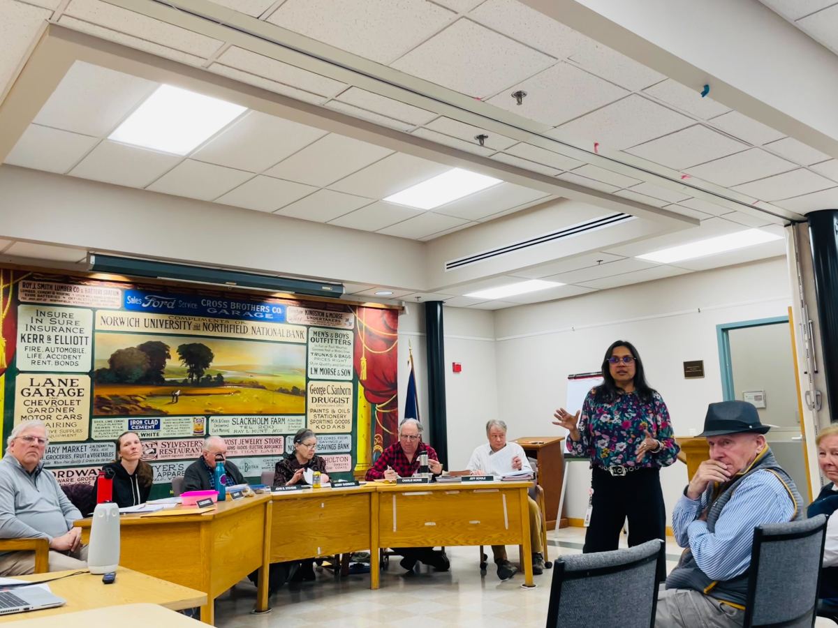 A woman stands and speaks to a group of people seated around a table in a meeting room with a mural and posters on the wall behind them.