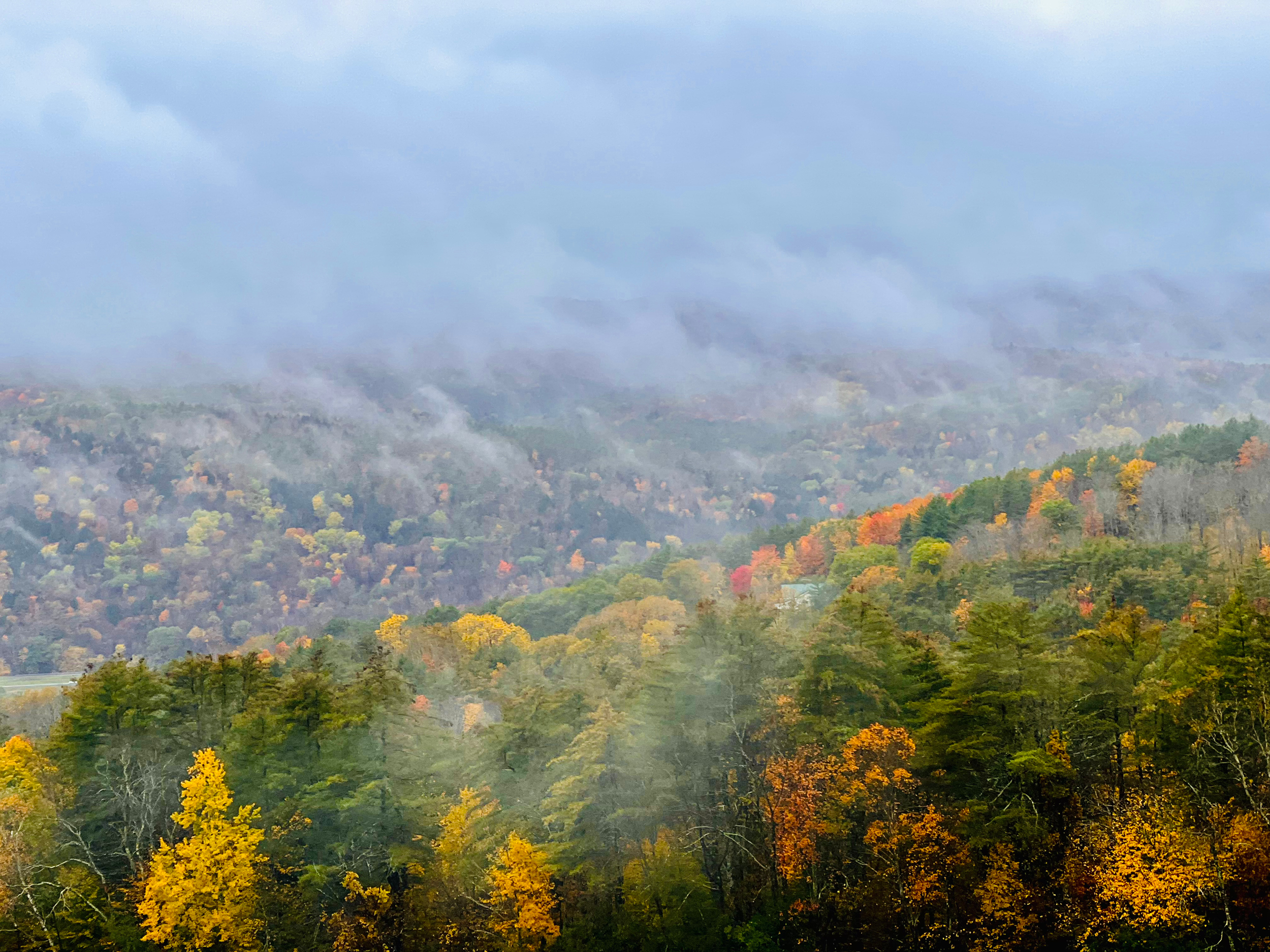 Fog drifts over a forested landscape with autumn foliage in shades of yellow, orange, and red under an overcast sky.
