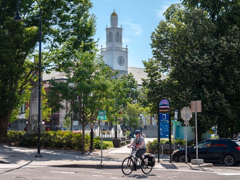 A person rides a bicycle on a sunny street with trees, parked cars, signs, and a white clock tower building in the background.