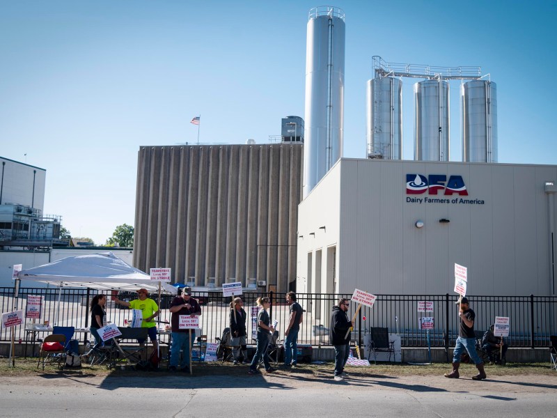 A group of people hold picket signs and walk in front of a Dairy Farmers of America building, participating in a strike or protest.