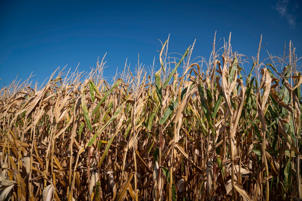 Drought cost Vermont farmers .9M 
