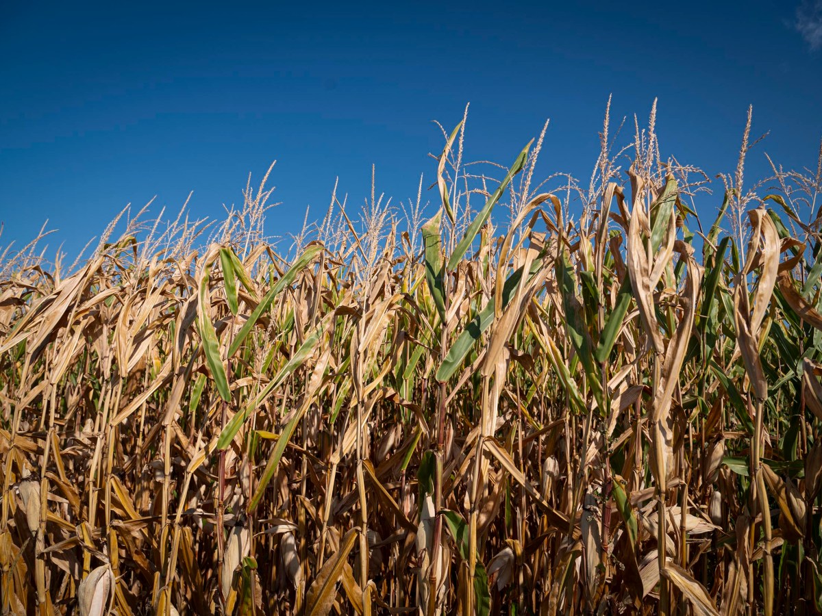Vermont officials ask for statewide disaster designation amid ongoing drought