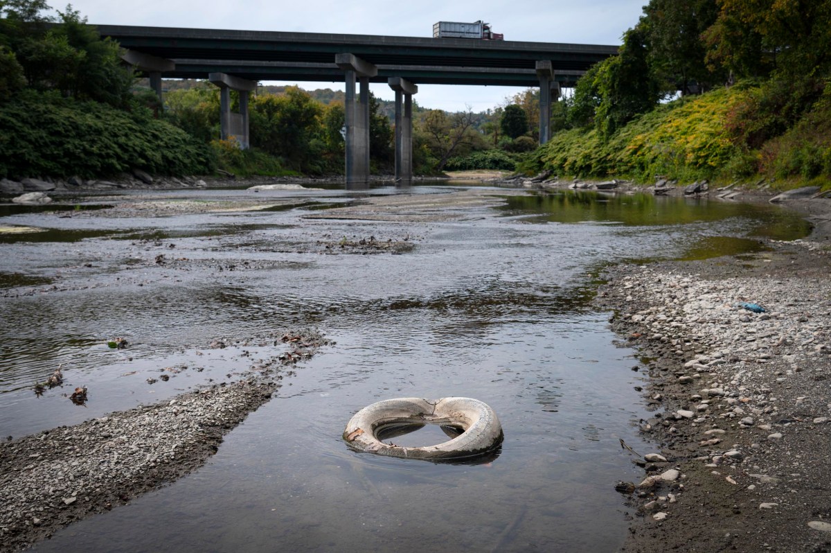 A discarded tire lies in shallow water near the shore of a river, with a highway bridge and green foliage in the background.
